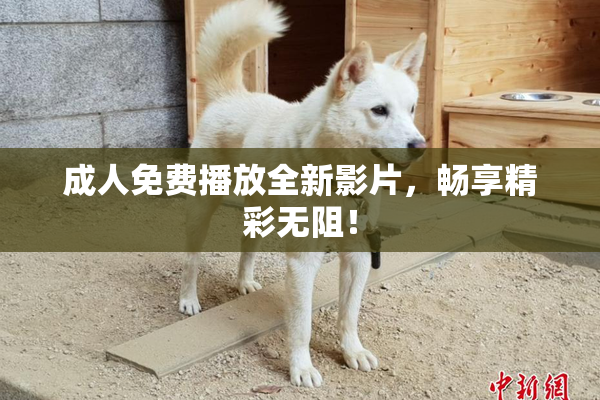 成人免费播放全新影片，畅享精彩无阻！