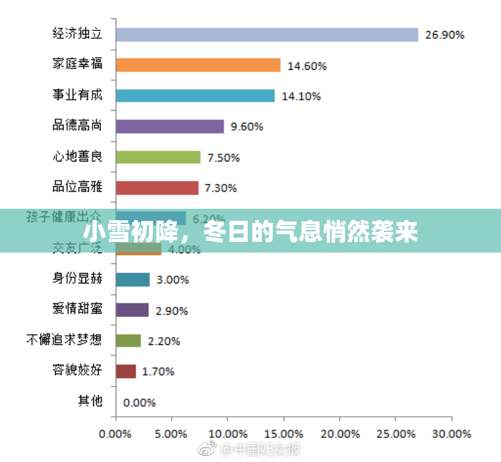 小雪初降，冬日的气息悄然袭来