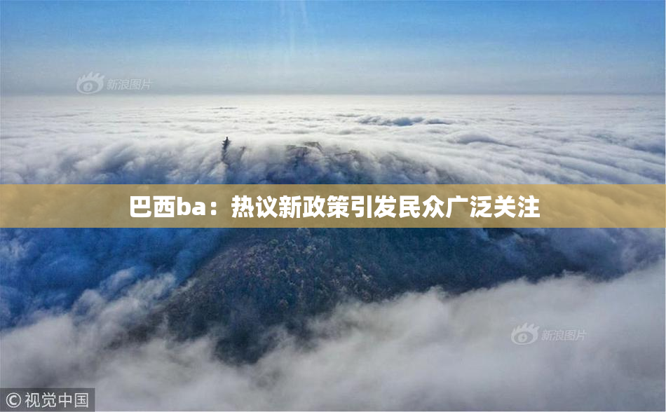巴西ba：热议新政策引发民众广泛关注