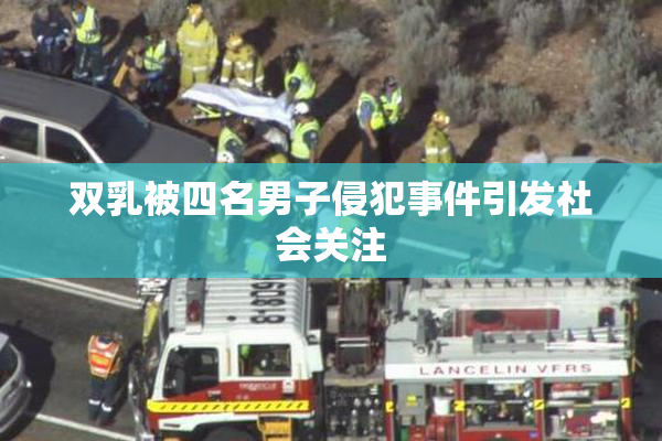 双乳被四名男子侵犯事件引发社会关注