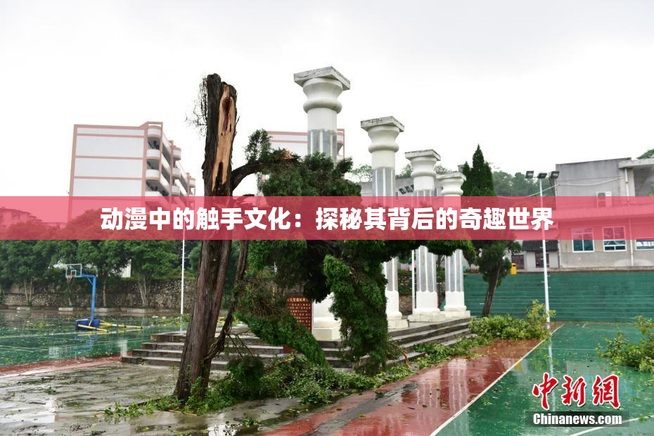 动漫中的触手文化：探秘其背后的奇趣世界