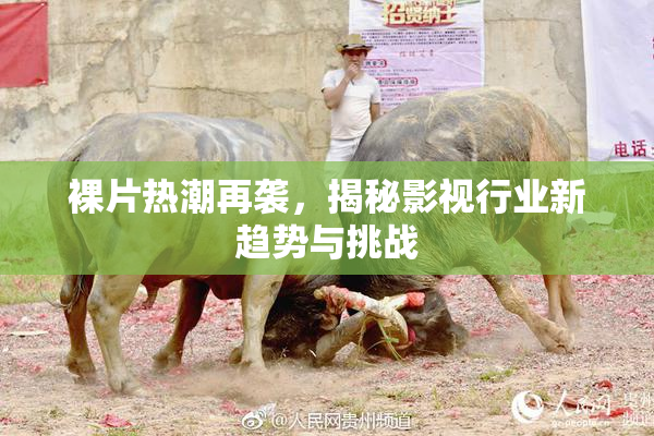 裸片热潮再袭，揭秘影视行业新趋势与挑战