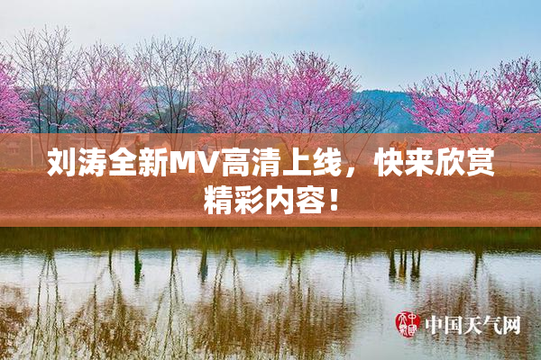 刘涛全新MV高清上线，快来欣赏精彩内容！