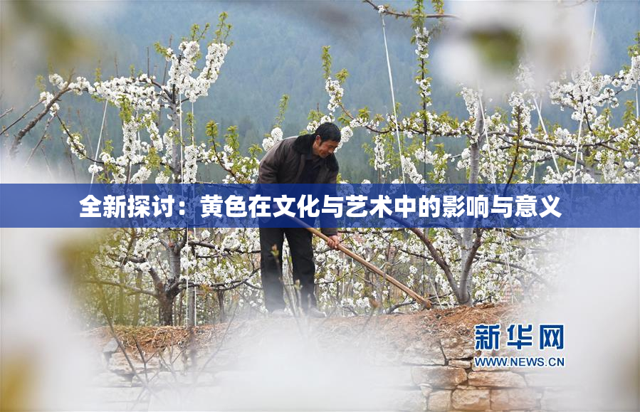 全新探讨：黄色在文化与艺术中的影响与意义