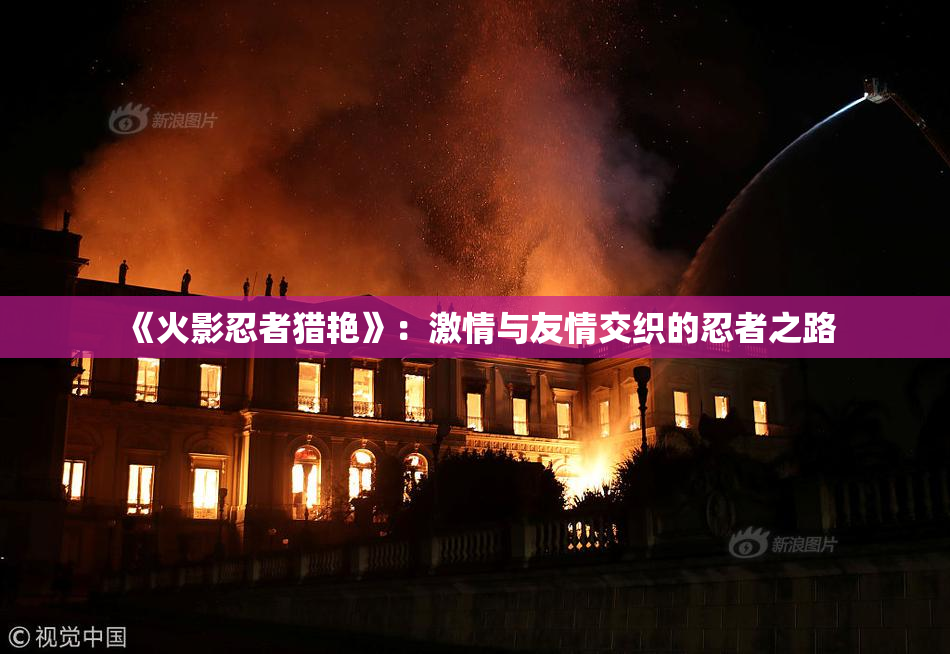 《火影忍者猎艳》：激情与友情交织的忍者之路