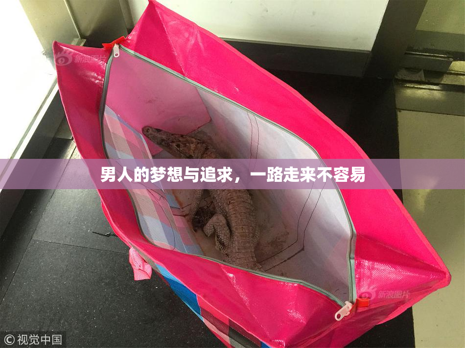 男人的梦想与追求，一路走来不容易