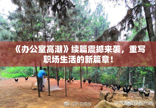 《办公室高潮》续篇震撼来袭，重写职场生活的新篇章！