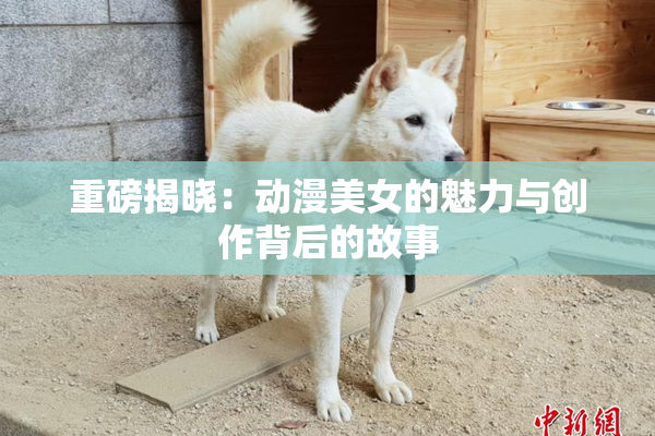 重磅揭晓：动漫美女的魅力与创作背后的故事