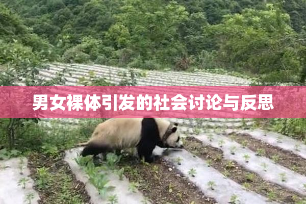 男女裸体引发的社会讨论与反思