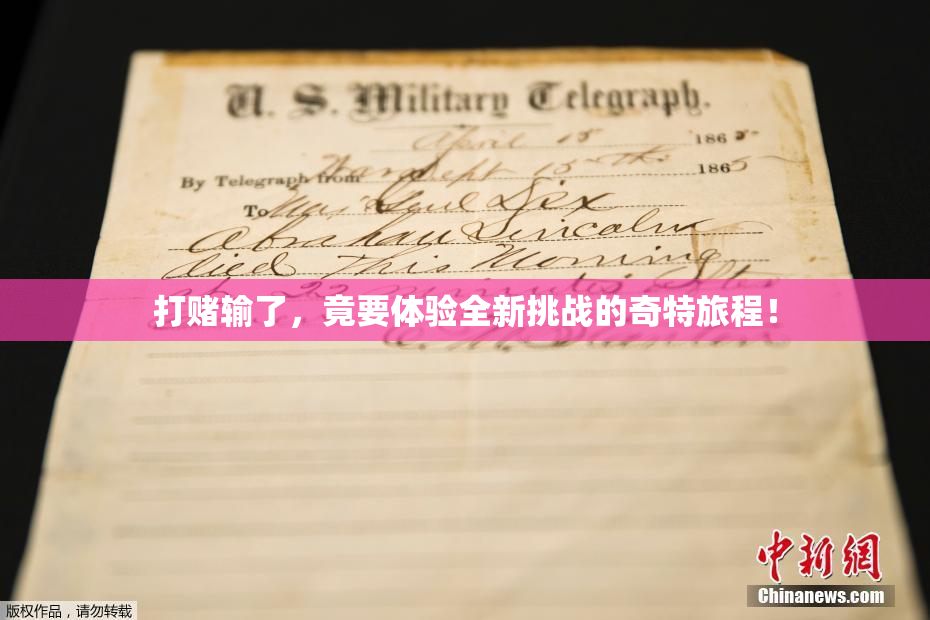 打赌输了，竟要体验全新挑战的奇特旅程！