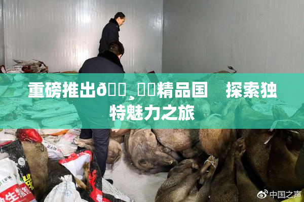 重磅推出🌸‌✿精品国　探索独特魅力之旅