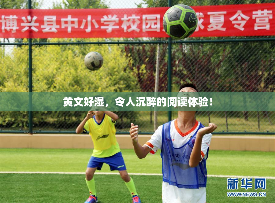 黄文好湿，令人沉醉的阅读体验！