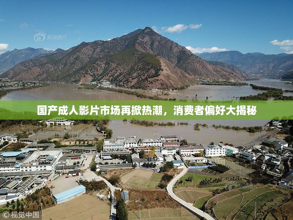 国产成人影片市场再掀热潮，消费者偏好大揭秘