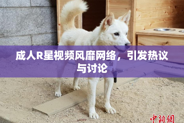 成人R星视频风靡网络，引发热议与讨论