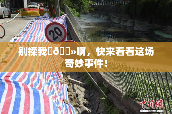 别揉我‌🐻啊，快来看看这场奇妙事件！