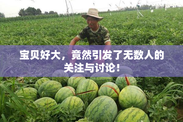宝贝好大，竟然引发了无数人的关注与讨论！