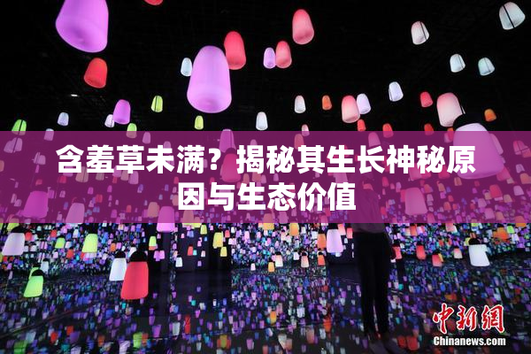 含羞草未满？揭秘其生长神秘原因与生态价值