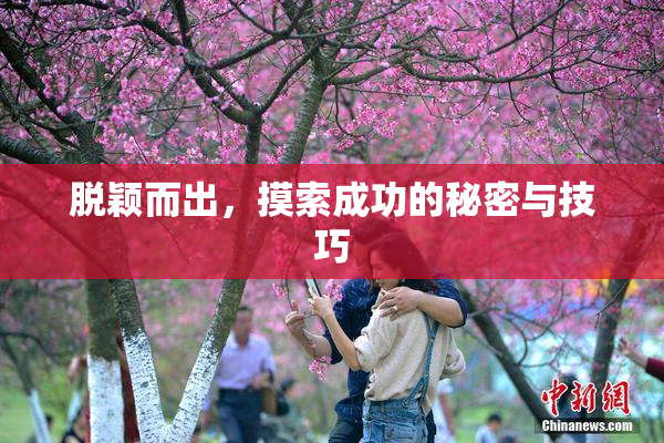 脱颖而出，摸索成功的秘密与技巧