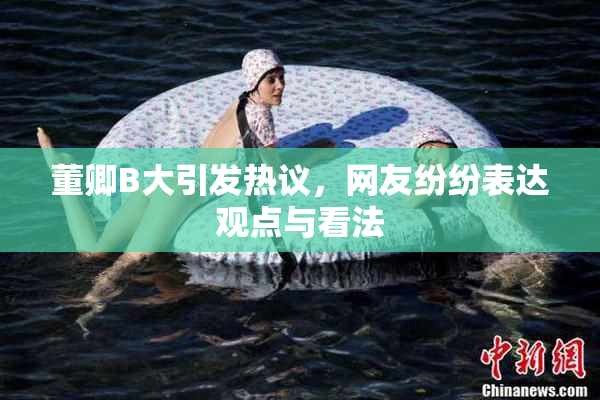 董卿B大引发热议，网友纷纷表达观点与看法