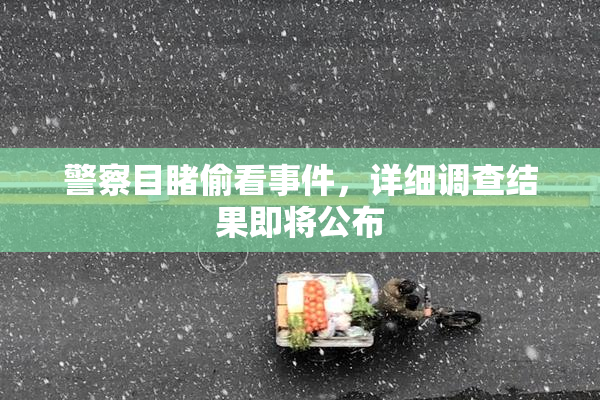 警察目睹偷看事件，详细调查结果即将公布