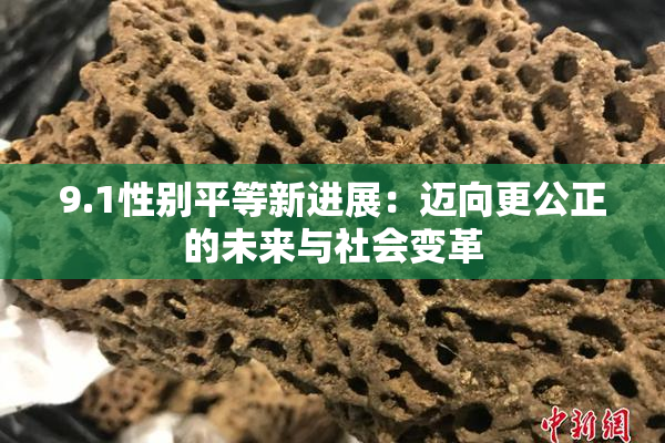 9.1性别平等新进展：迈向更公正的未来与社会变革