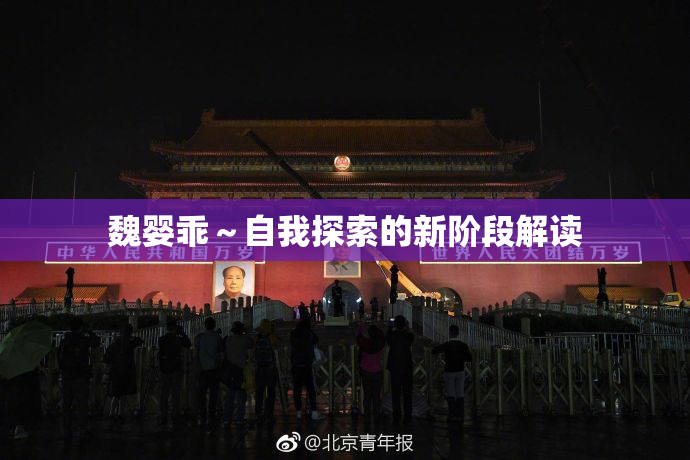 魏婴乖～自我探索的新阶段解读