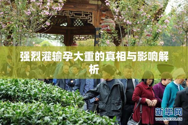强烈灌输孕大重的真相与影响解析