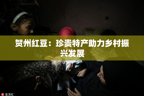 贺州红豆：珍贵特产助力乡村振兴发展