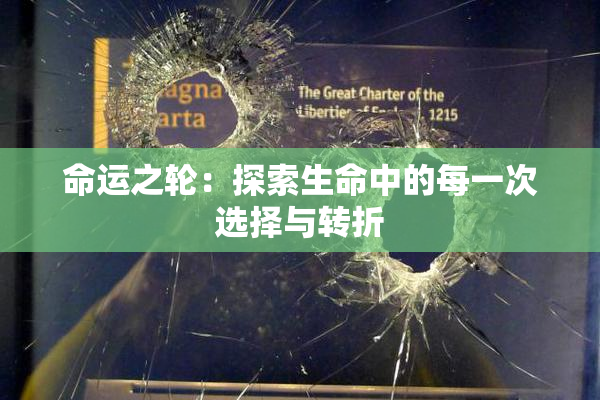 命运之轮：探索生命中的每一次选择与转折