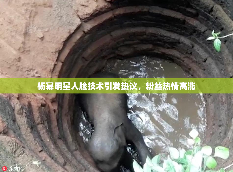 杨幂明星人脸技术引发热议，粉丝热情高涨