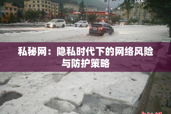 私秘网：隐私时代下的网络风险与防护策略