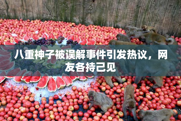 八重神子被误解事件引发热议，网友各持己见