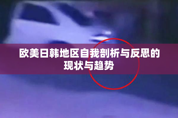 欧美日韩地区自我剖析与反思的现状与趋势
