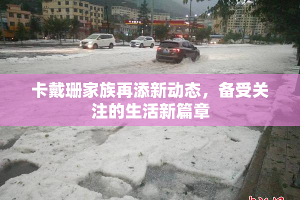 卡戴珊家族再添新动态，备受关注的生活新篇章