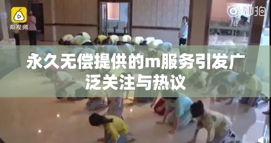 永久无偿提供的m服务引发广泛关注与热议