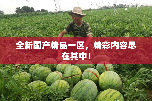 全新国产精品一区，精彩内容尽在其中！