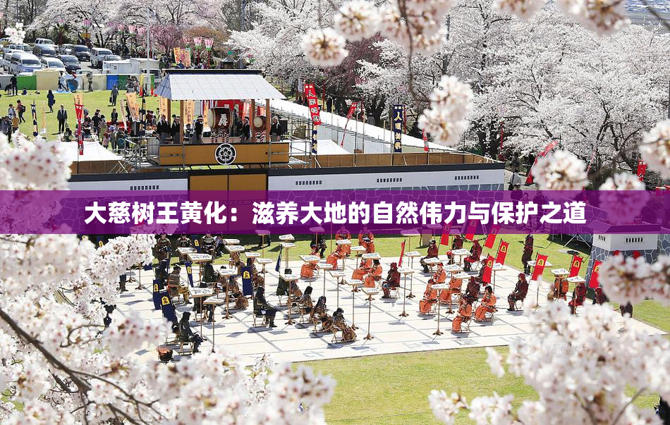 大慈树王黄化：滋养大地的自然伟力与保护之道