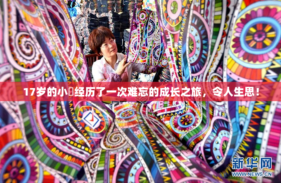 17岁的小泬经历了一次难忘的成长之旅，令人生思！