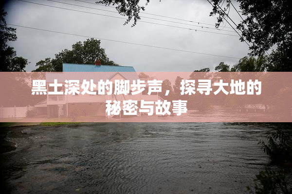黑土深处的脚步声，探寻大地的秘密与故事