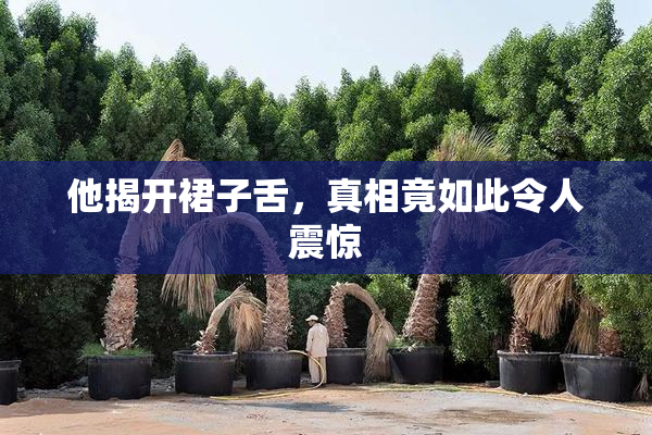 他揭开裙子舌，真相竟如此令人震惊