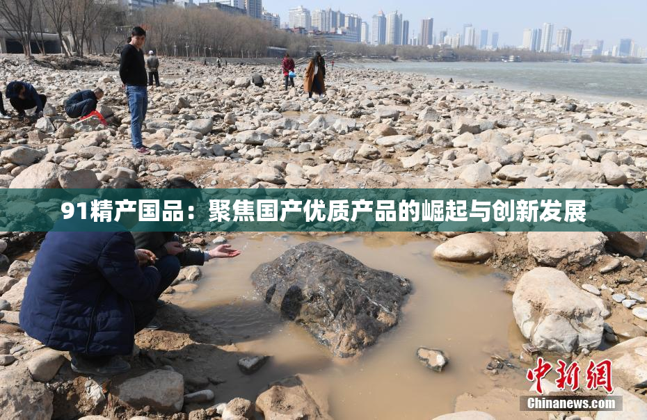 91精产国品：聚焦国产优质产品的崛起与创新发展