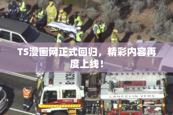 TS漫画网正式回归，精彩内容再度上线！