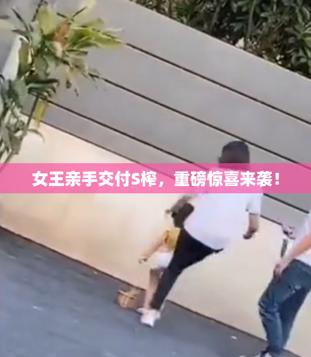 女王亲手交付S榨，重磅惊喜来袭！