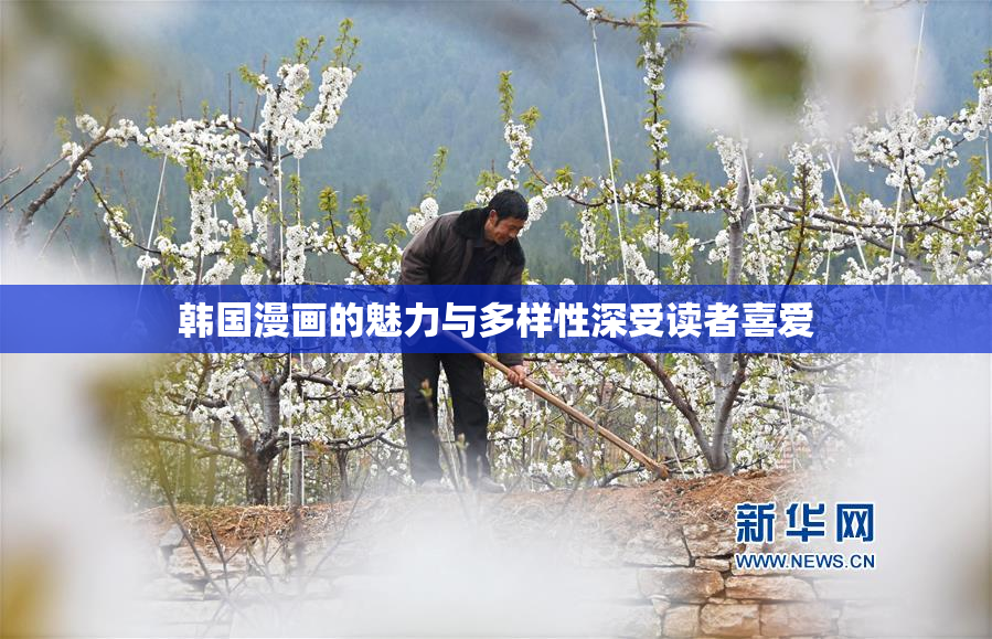 韩国漫画的魅力与多样性深受读者喜爱