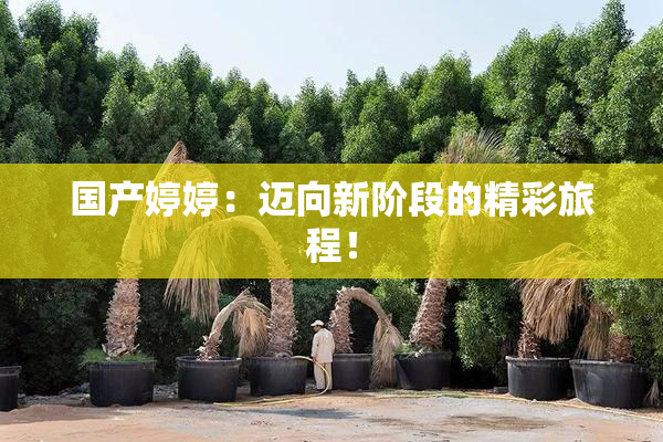 国产婷婷：迈向新阶段的精彩旅程！