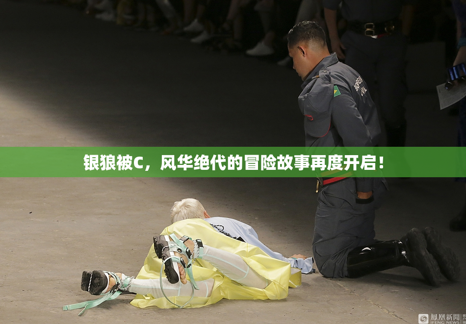 银狼被C，风华绝代的冒险故事再度开启！