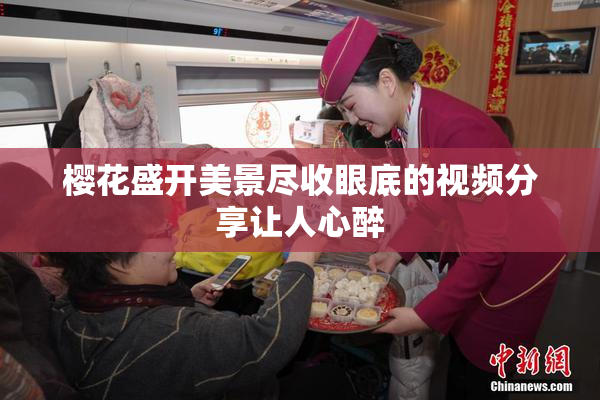 樱花盛开美景尽收眼底的视频分享让人心醉
