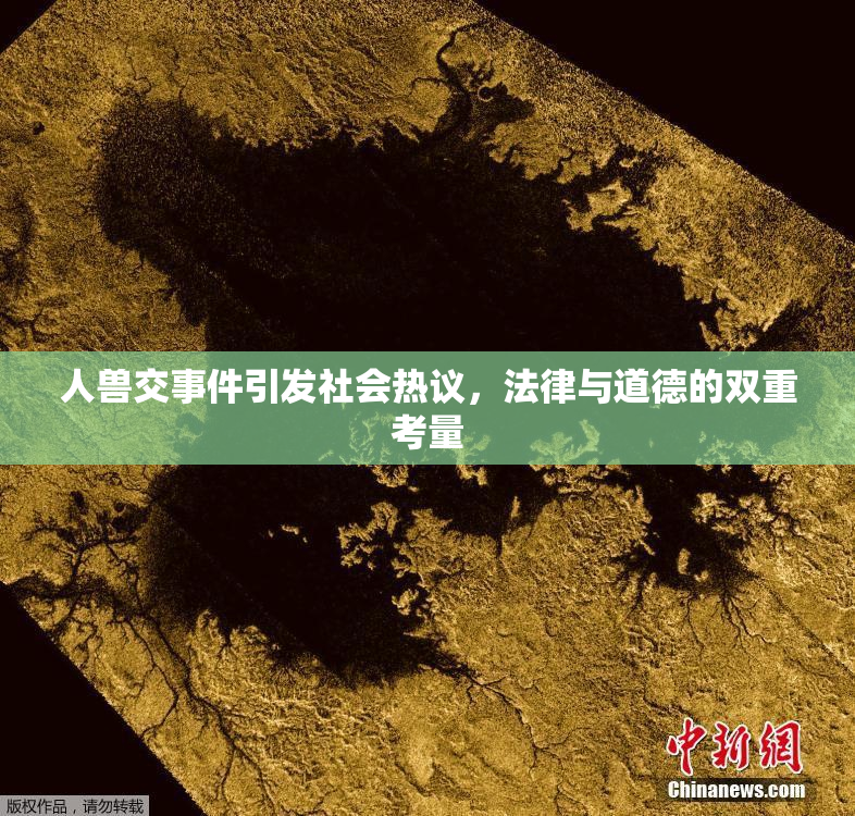 人兽交事件引发社会热议，法律与道德的双重考量