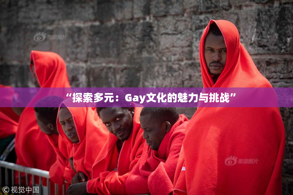“探索多元：Gay文化的魅力与挑战”