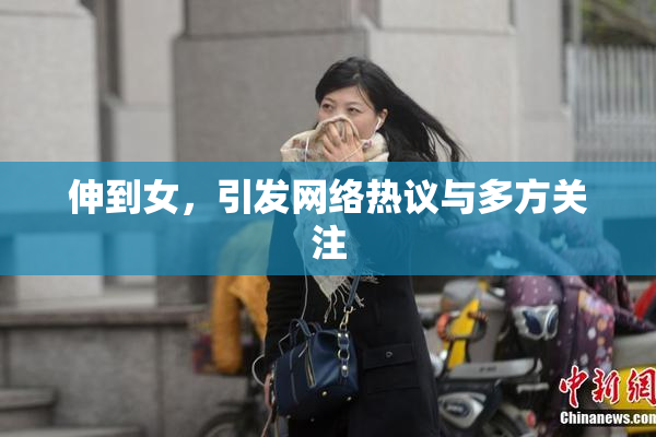 伸到女，引发网络热议与多方关注